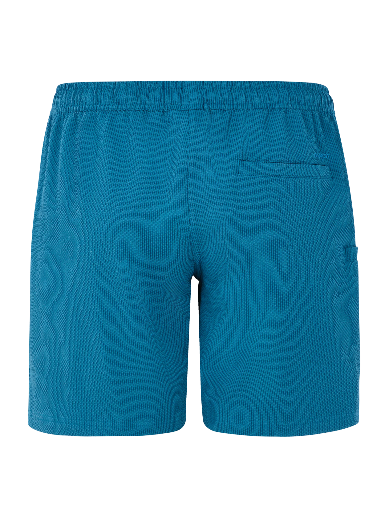 Protest PRTAgaat 25 Swimming Shorts