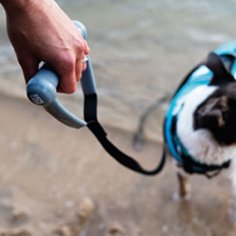 Durable Teal Dog Leash for Wakeboarders – Strong and Comfortable for Daily Walks